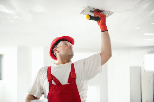 Best Mold Odor Removal Services  in Susan Moore, AL