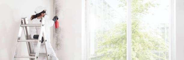 Best Water Damage & Mold Remediation  in Susan Moore, AL