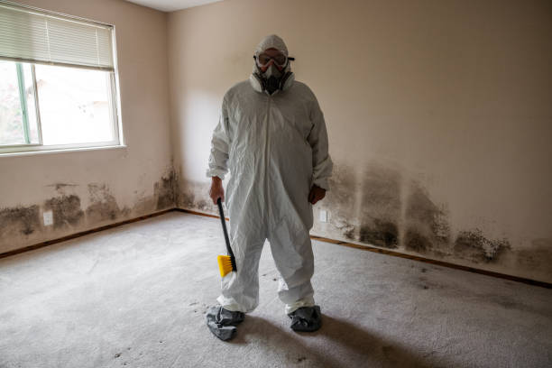 Best Mold Removal for HVAC Installations  in Susan Moore, AL