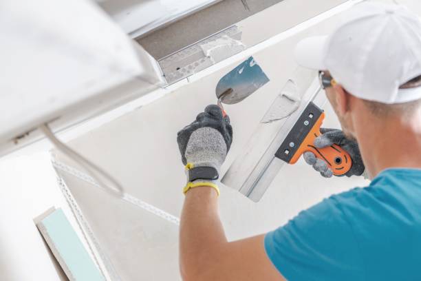 Best Basement Mold Removal  in Susan Moore, AL